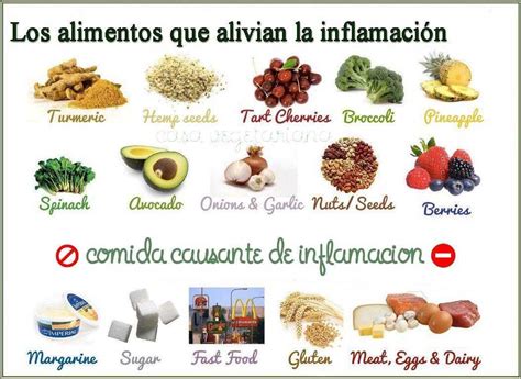 Alimentos Antiinflamatorios Alimentos Anti Inflamatorios Alimentos