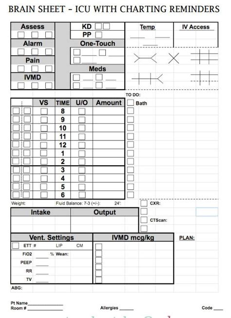 Stay organized on the clinical floor and nursing report sheets. Nurse Brain Sheets - ICU with charting reminders | Crafts ...