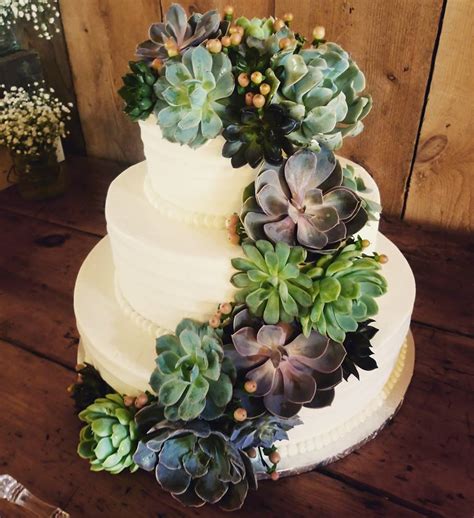 Succulent Wedding Cake Best Succulent Ideas