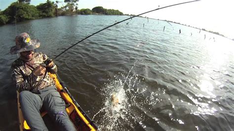 Peacock Bass On A Kayak Venezuela Youtube