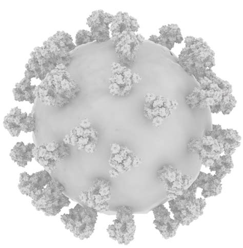 Image captionwuhan endured one of the strictest lockdowns the world has seen in the pandemic. What research on coronavirus structure can tell us about ...