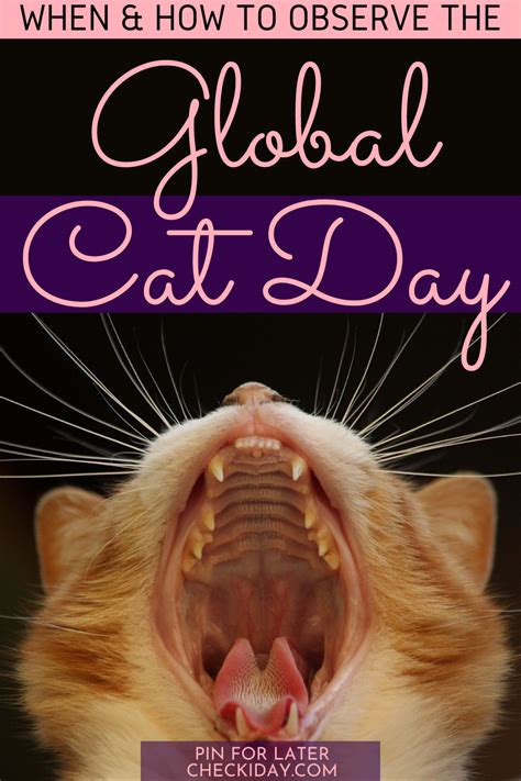 Its Global Cat Day Cat Day Alley Cat Allies Cats