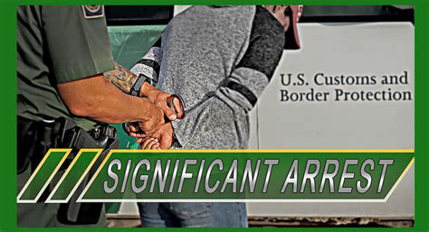 rgv agents arrest twelve gang members texas border business