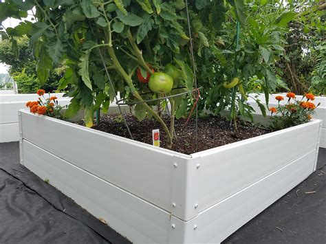 Handy Bed 4 X 4 Stack Able White Vinyl Raised Garden Bed Cook Products