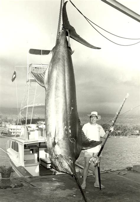 Q A Gary Merriman Recounts His Giant Pacific Blue Marlin And Tarpon