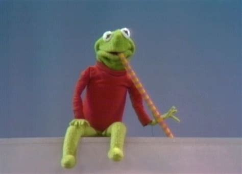 Kermit The Frog Guest Appearances Muppet Wiki Fandom Powered By Wikia