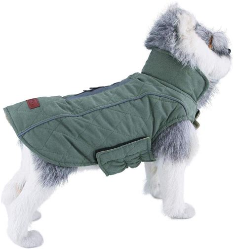 Winter Dog Coats Keeping Your Canine Companion Warm And Toasty