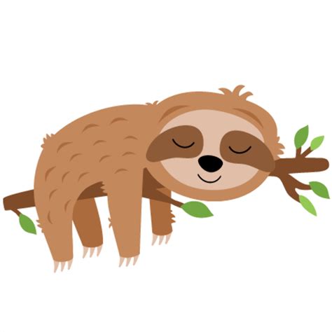 Download High Quality Sloth Clipart Tiny Transparent Png