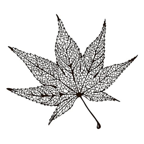Premium Vector Maple Leaf Silhouette Vector Illustration Isolated On