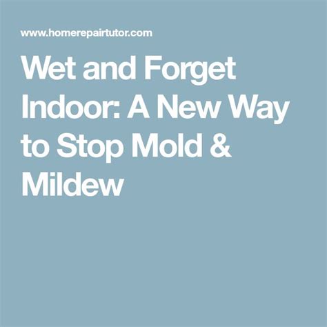 Wet And Forget Indoor A New Way To Stop Mold And Mildew Mold And