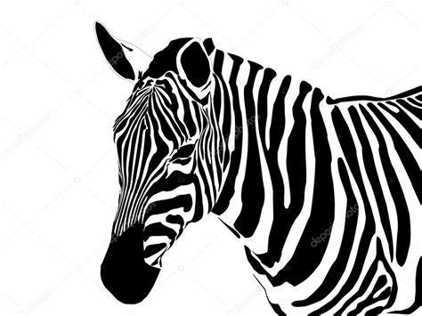Siluetas En Blanco Y Negro De Animales - Michael Arntz