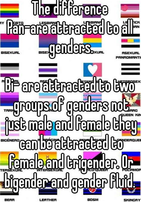 The Difference Pan Are Attracted To All Genders Bi Are Attracted To Two Groups Of Genders Not