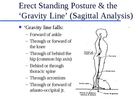 Balance And Posture