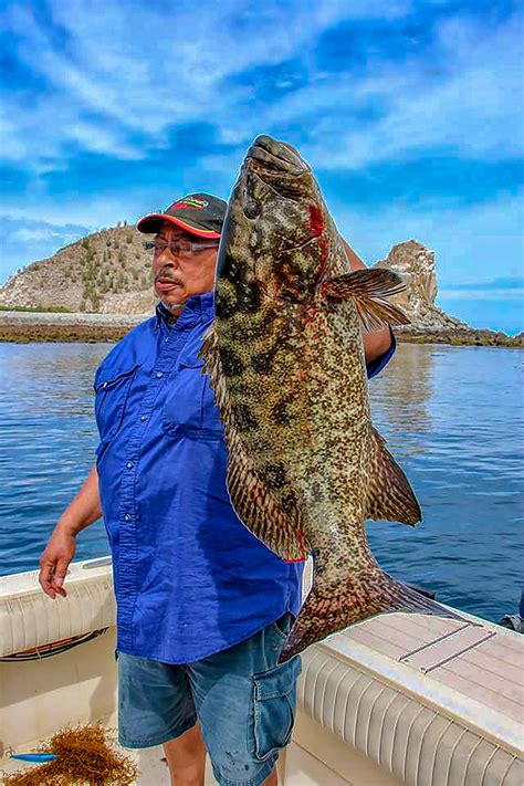 May 2018 Baja Fishing Report