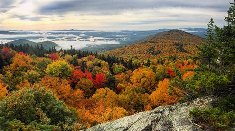 Fall Foliage On Mount Morgan Today In New Hampshire Oc