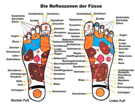 Die Wirkung Der Fußreflex Zonen Massage Chiropraktik Kropshofer