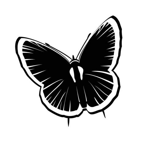 40+ Best Collections Imagenes De Mariposas Negras Animadas Black Masa