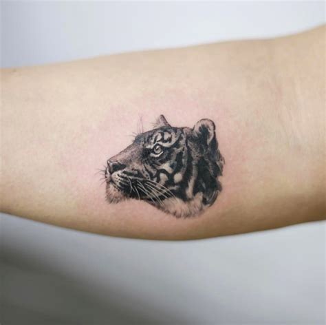 Ideas De Tatuajes Con Tigres Ideas De Tatuajes