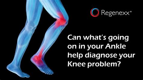 The Knee Bones Connected To The Ankle Bone Regenexx Blog
