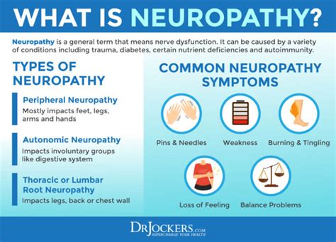 Neuropathy Risk Factors Causes And Support Strategies