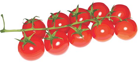Cherry Tomato Png