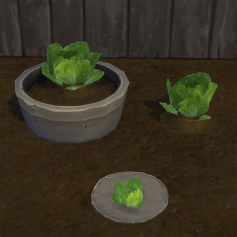 Урожай салата Lettuce скачать для The Sims 4 Моды для The Sims 4