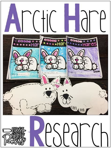 Arctic Hare Informational Text Reading Writing And Research Arctic