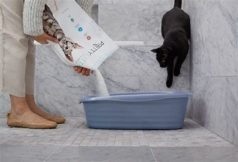 Prettylitter A Useful Device In Monitoring Your Cats Well Being