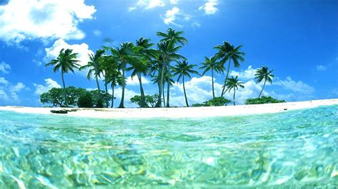 Download Tropical Beach Image Galleries Bsnscb By Sstout6 Tropical