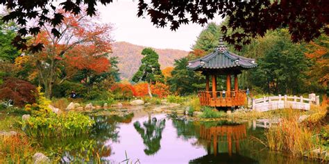 Jardín De La Calma De La Mañana Gapyeong Gun Reserva De Entradas Y