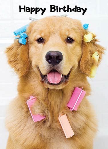 Maybe you would like to learn more about one of these? Birthday Cards For Dogs - Card Design Template