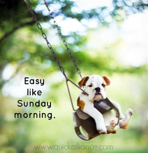 Easy Like Sunday Morning Pictures Photos And Images For Facebook