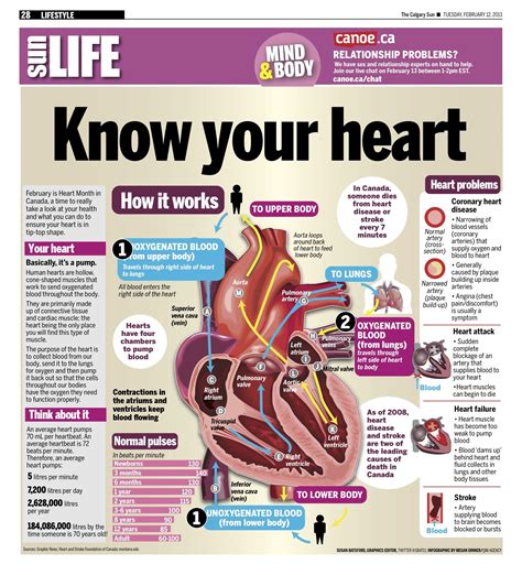February Is Heart Month In Canada A Time To Really Take A Look At Your