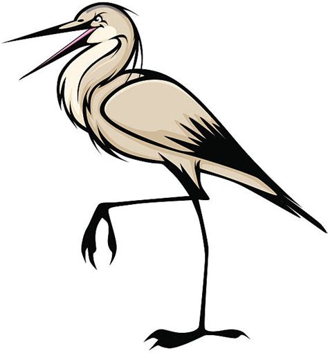 Great Blue Heron Illustrations Royalty Free Vector Graphics And Clip Art