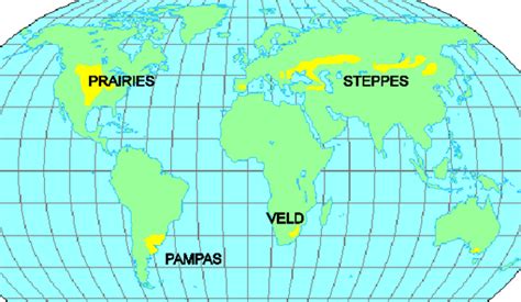 Grasslands Of The World Upsc Notes Edurev