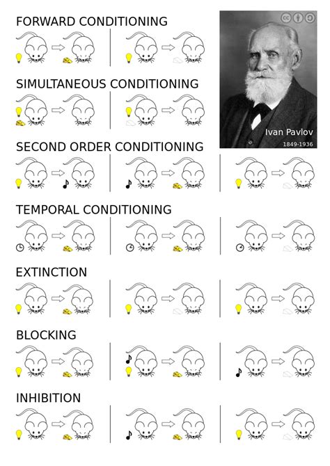 Classical Conditioning Psynso
