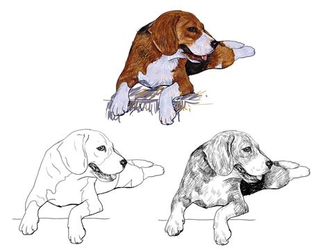Https://techalive.net/draw/how To Draw Fur On A Dog