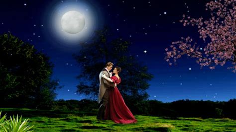 Love Couples In Moonlight Wallpapers On Wallpaperdog