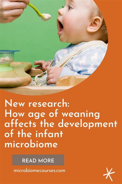 Pin On The Infant Microbiome