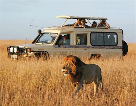 Three Ways To Safari Micato Luxury African Safaris