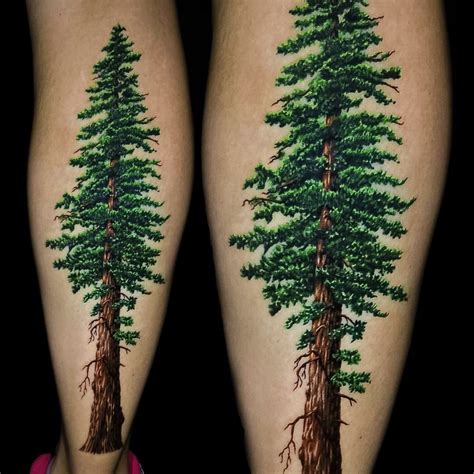 Realistic Tree Tattoo Color Best Tattoo Ideas