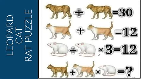 Join them and earn the bronze, silver. ENGLISH AUDIO | LEOPARD CAT RAT PUZZLE | MATHS PUZZLE ...