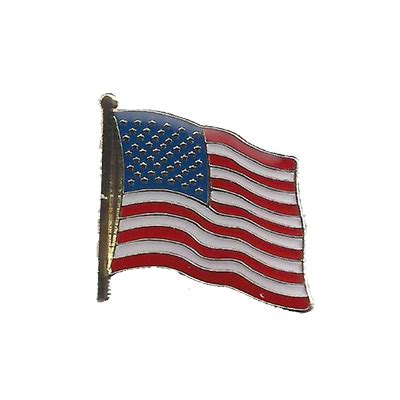US Flag Pin – USSVI Requin Base png image