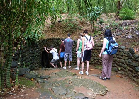 Half Day Cu Chi Tunnels Tour Ho Chi Minh City Kkday