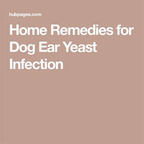 Home Remedies For Dog Ear Yeast Infections Dog Yeast Infection Ear