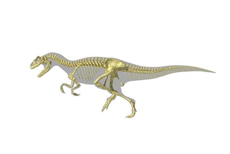 Allosaurus Dinosaur Skeleton Photograph By Leonello Calvettiscience Photo Library Pixels