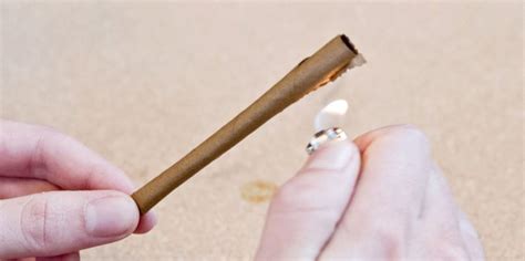 Roll A Perfect Blunt Every Time In 5 Easy Steps 420sativaleaf