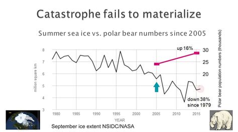 Polar Bear Numbers Not Declining Despite Media Headlines Suggesting