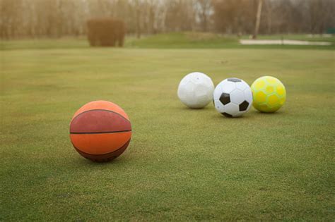 Various Sports Balls On Grass Field アイデアのストックフォトや画像を多数ご用意 Istock
