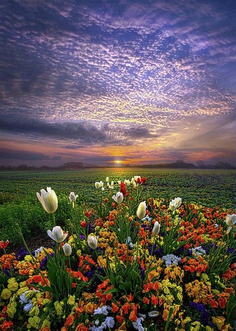 Spring Day Greeting Card For Sale By Phil Koch